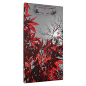 Embers of Autumn Klemmbrett (Rechts)