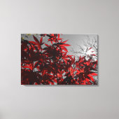 Embers of Autumn Leinwanddruck (Vorderseite)