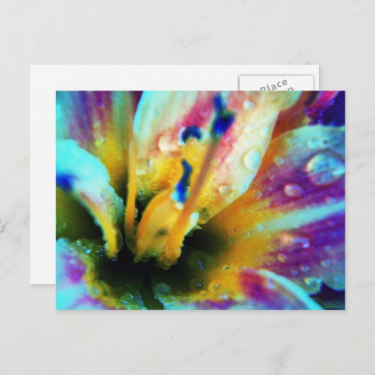 Embossed Lily Postcard Postkarte (Vorne/Hinten)