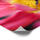 Embrace Nature Bee on Daisy Inspiration Poster (Ecke)