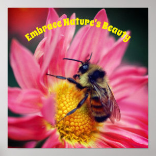 Embrace Nature Bee on Daisy Inspiration Poster