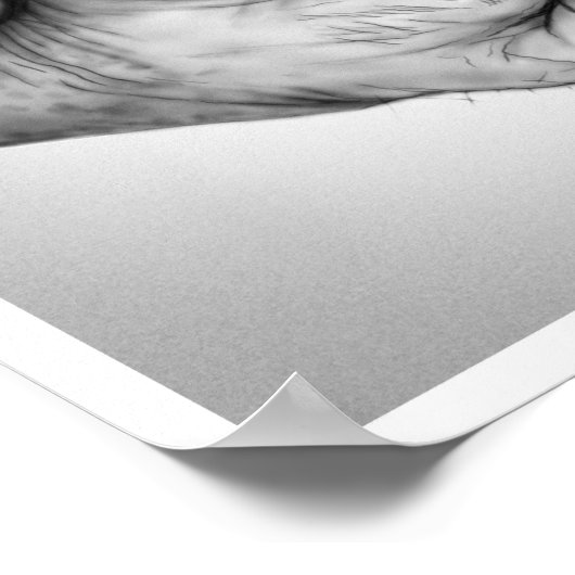 Embrace von Aleta Poster (Ecke)