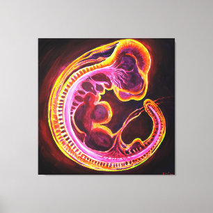 Embryo Leinwanddruck