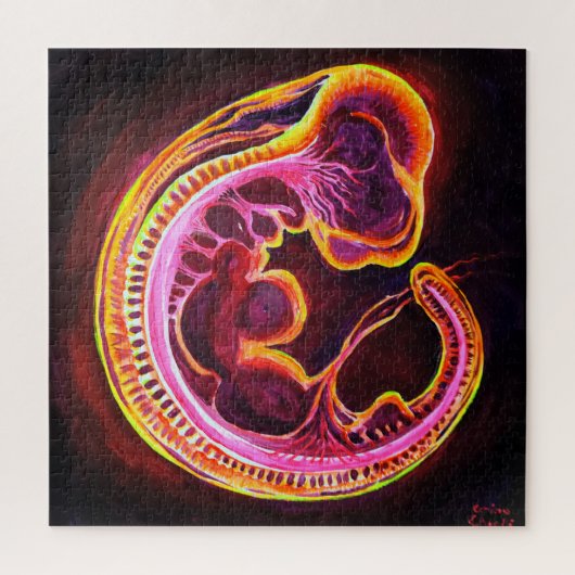 Embryo Puzzle (Vertikal)