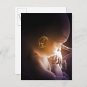 Embryonale Entwicklung 5 Postkarte (Vorne/Hinten)