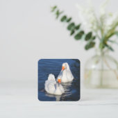 Emden Geese Quadratische Visitenkarte (Stehend Vorderseite)