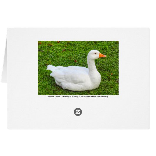 Emden Goose (Rückseite Horizontal)