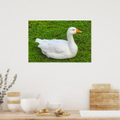 Emden Goose Poster (Küche)