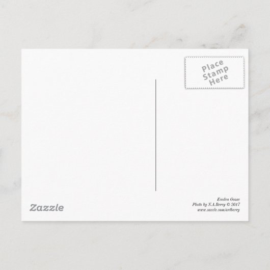 Emden Goose Sitting in the Shade B&W Postkarte (Rückseite)