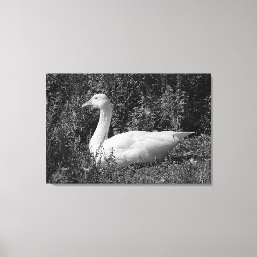 Emder Gans Leinwanddruck (Vorderseite)