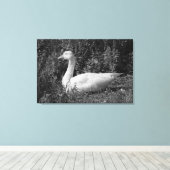 Emder Gans Leinwanddruck (Insitu (Holzboden))