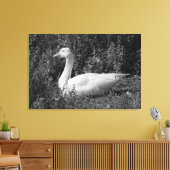 Emder Gans Leinwanddruck (Insitu (Wohnzimmer))