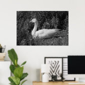 Emder Gans Poster (Heimbüro)
