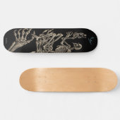 Emek "Skeletonbird " Skateboard (Horizontal)