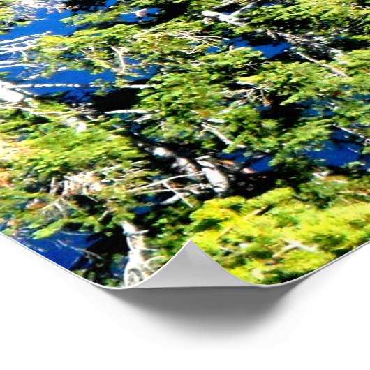 EMERALD BAY AM SEE TAHOE POSTER (Ecke)