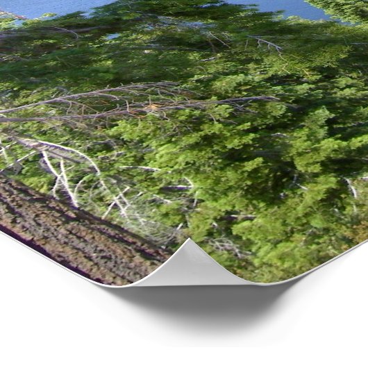 Emerald Bay Vikingsholm Castle Collection Poster (Ecke)