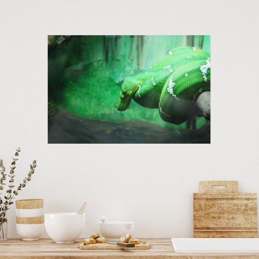 Emerald Boa Poster (Küche)
