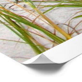 Emerald Coast, FL Poster (Ecke)