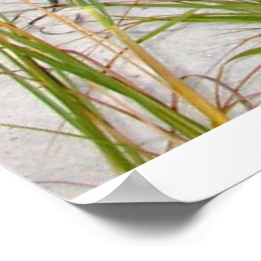 Emerald Coast, FL Poster (Ecke)