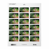 Emerald Dove Profil und Perch Adressaufkleber (Vorne)