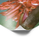 Emerald, Elvira, kopfköpfig, Fotodruck (Ecke)