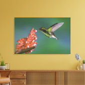 Emerald, Elvira, kopfköpfig, Leinwanddruck (Insitu (Wohnzimmer))
