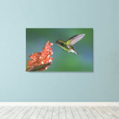 Emerald, Elvira, kopfköpfig, Leinwanddruck (Insitu (Holzboden))