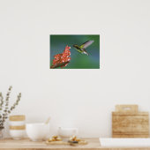 Emerald, Elvira, kopfköpfig, Poster (Küche)