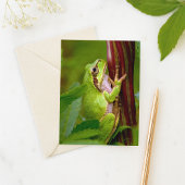 Emerald Embrace Postkarte