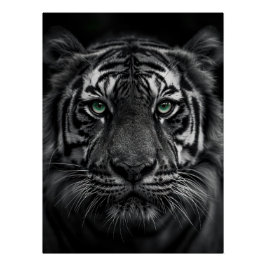Emerald-Eyed Tiger Portrait - Black and White Poster