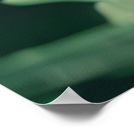 Emerald Fluid Dynamics Splash Poster (Ecke)