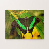 Emerald Frack Butterfly. Puzzle (Horizontal)