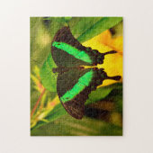 Emerald Frack Butterfly. Puzzle (Vertikal)