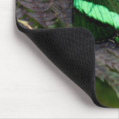 Emerald Frack Mousepad (Ecke)