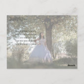 Emerald Green Gown Silver Foto Quinceanera Postkarte (Rückseite)