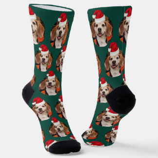 Emerald Green Pet Foto & Weihnachtsmannmützen auf  Socken