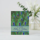 Emerald Green Royal Blue Peacock Feathers Wedding Ankündigungspostkarte (Stehend Vorderseite)