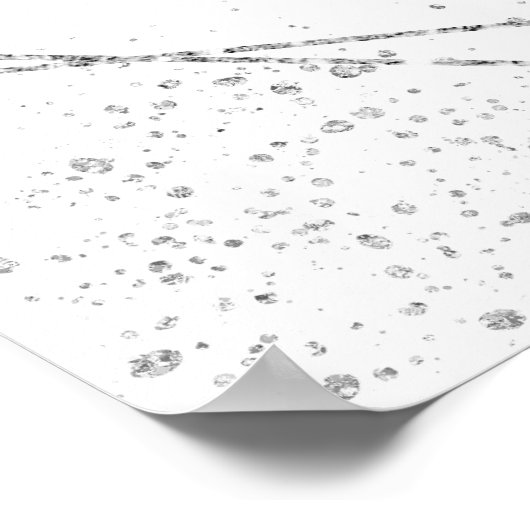 Emerald Green & Silver Tiara Quinceanera Poster (Ecke)