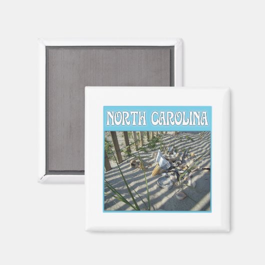 Emerald Isle Beach Seashell Collection Magnet (Vorderseite/Rückseite)