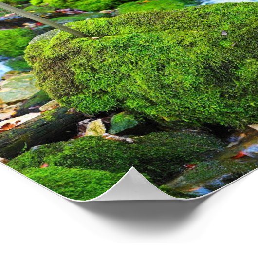 "Emerald Oasis: Algenbedeckter Stein" Poster (Ecke)