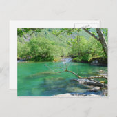 Emerald Peace Postcard Postkarte (Vorne/Hinten)