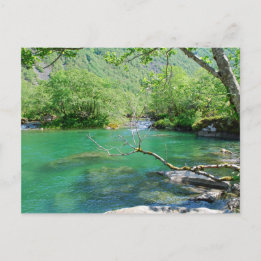 Emerald Peace Postcard Postkarte