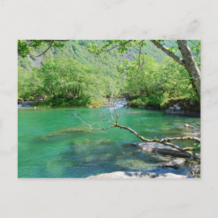 Emerald Peace Postcard Postkarte