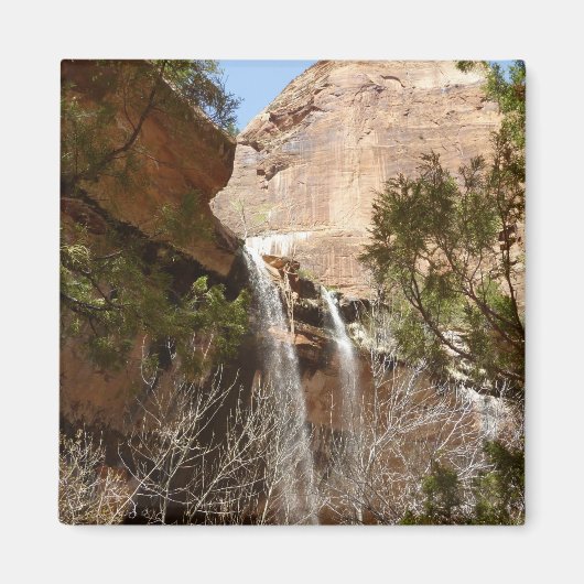 Emerald Pool Falls I aus dem Zion National Park Magnet (Vorne)
