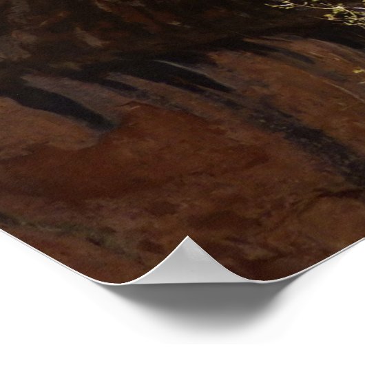 Emerald Pool Falls I aus dem Zion National Park Poster (Ecke)