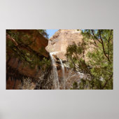 Emerald Pool Falls I aus dem Zion National Park Poster (Vorne)