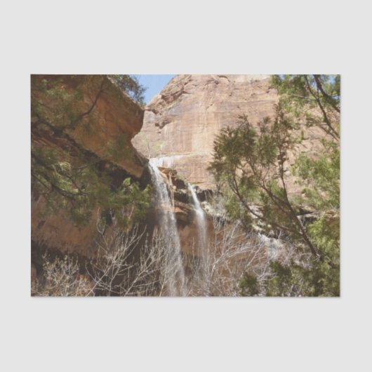 Emerald Pool Falls I aus dem Zion National Park Seidenpapier (Vorderseite)