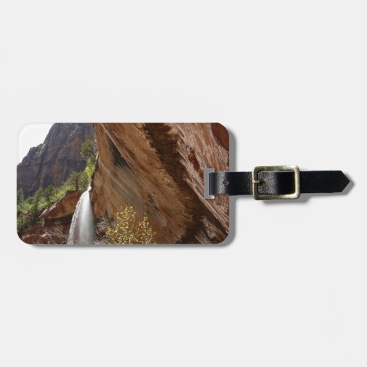 Emerald Pool Falls III von Zion National Park Gepäckanhänger (Vorderseite horizontal)