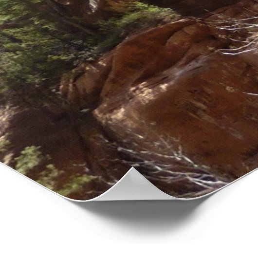 Emerald Pool Falls III von Zion National Park Poster (Ecke)