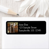 Emerald Pool Falls IV von Zion National Park (Insitu)